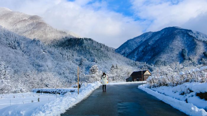 Top Winter Destinations in India for Snow Lovers